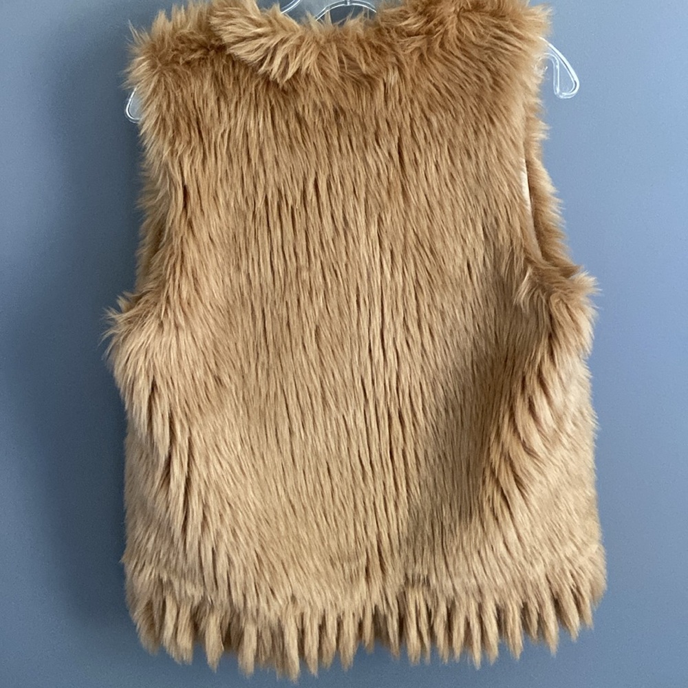 Ellison Faux Fur Vest